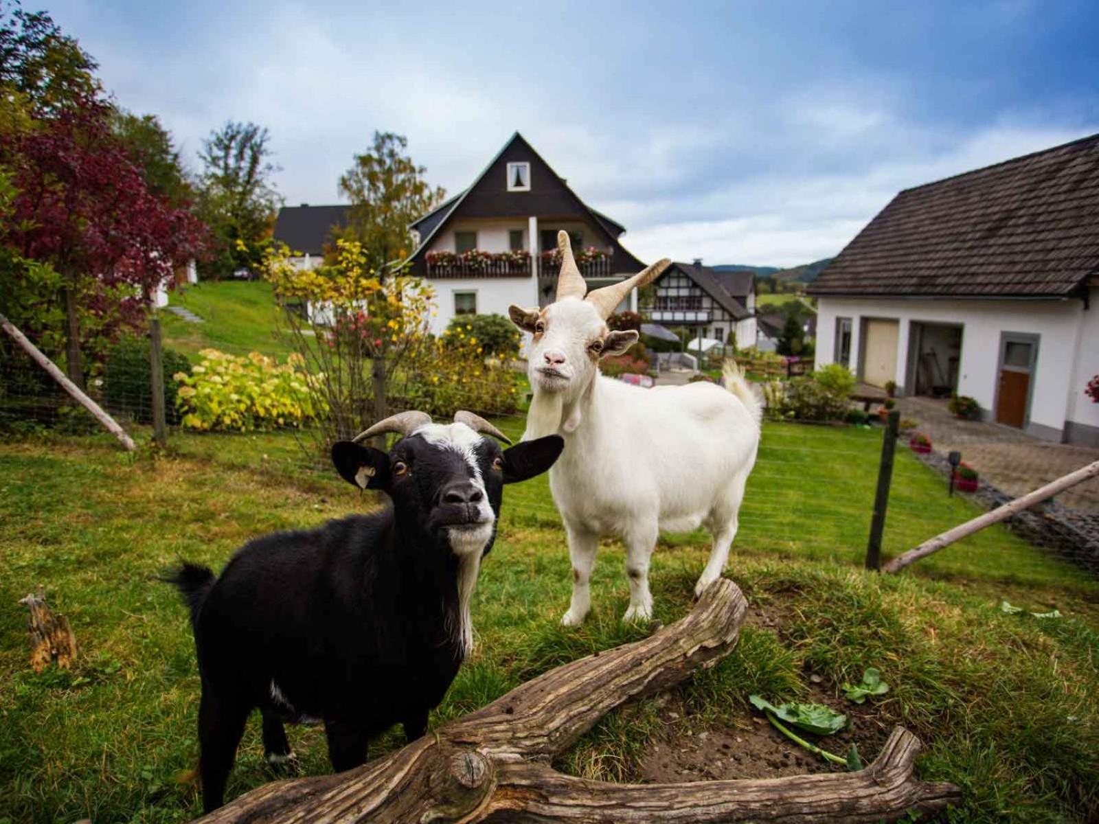 Kornkammer Schmallenberg Extérieur photo